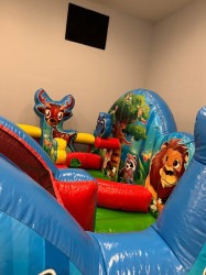 Animal20Kingdom203 1751298875 Animal Kingdom-Toddler